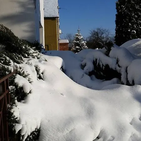 Agrousadba Tatino Minsk
