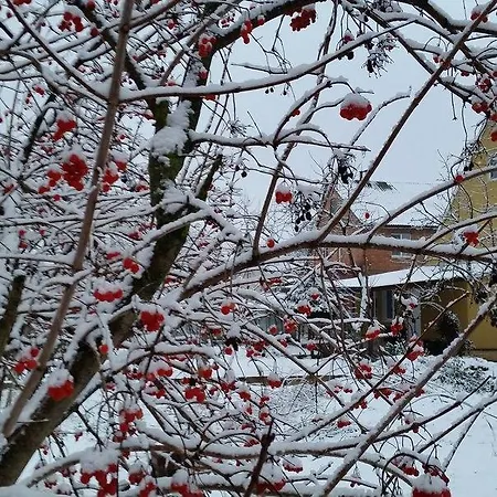 Agrousadba Tatino Minsk
